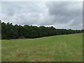 Field and woodland by Henhurst Cross Lane