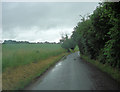 Thorpe Lane north of Fen Street