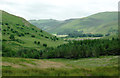 Hill grazing in Dyffryn Castell, Ceredigion