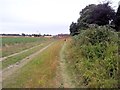 Dog walk from caravan site at Martintole Farm