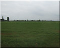 Crop field near Kirkby la Thorpe