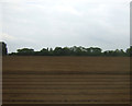 Ploughed field