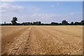 TL5357 : Harvested field by ad acta
