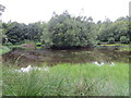 NN0901 : Pond in the grounds of Strachur House by John Ferguson