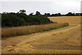 Farmland by the A422