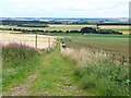 NO5063 : Farm track near Bogton of Balhall by Oliver Dixon