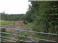 Farm track to Battens Wood