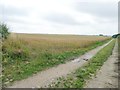 TF2574 : Farm track heading south, on the edge of a wheatfield by Christine Johnstone