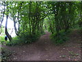 Coastal path and woods near Lambeeth