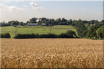 TQ2997 : Wheat Field, Trent Park, Cockfosters, Hertfordshire by Christine Matthews