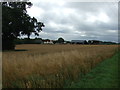 Farm buildings near Manuden