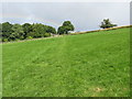 Field Path through Wensley Park