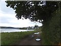 Tamar Valley Discovery  Trail approaching Bere Ferrers