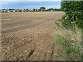 View towards Hoo St Werburgh from the Saxon Shore Way