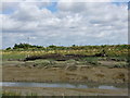 Abandoned boat, Milton Creek, Sittingbourne