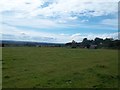 Grassland near Hopwell Hall Farm