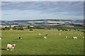 View over Strathmore from the Hill of St Fink