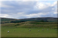 Fields at Middle Coul, near Balintore