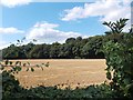 View from Brecks Lane to Gibbing Greave Wood