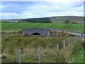 Bridge over the Burn of Drimmie