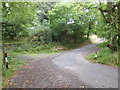 Where the coastal path joins the road