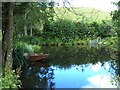 Garden pond at Courthill Mill