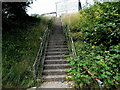 Steps up to Park View, Tylorstown