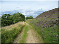 Footpath from Meltham Road to Round Hill