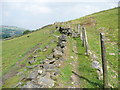 On the Colne Valley Circular Walk