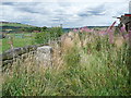 The Colne Valley Circular Walk eastwards from Yew Tree