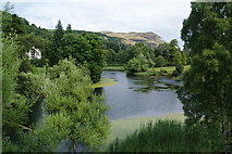 NS8096 : Loch at University of Stirling by Bill Boaden