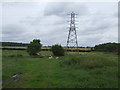 Grazing and pylon