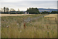 House beside the A90 at Valleyfield