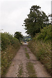 SU6714 : Harrowgate Lane emerges onto Old Mill Lane by Peter Facey
