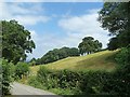 Pasture east of Cefn-y-Vaynor Plantation