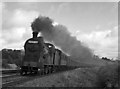 Steam hauled special train at Knockarney crossing- 1988