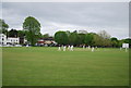 Cricket on the green