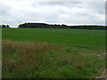 Farmland, Wavendon Grange