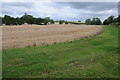 Stubble field near Wayside Farm