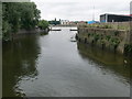 The river Wandle