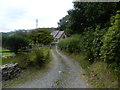 Track to Church of St Gwynleu, Nantcwnlle