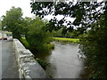 The Afon Teifi, Llanybydder