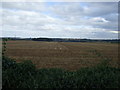 Farmland south of Barrowby