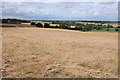 View over the site of the Battle of Naseby