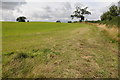 Farmland near Clipston