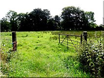 H1917 : An open field, Mullaghmore by Kenneth  Allen