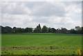 Farmland near Hodsoll Street