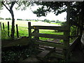 Stile for footpath to Berth-y-Bwl