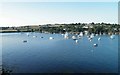 Penryn river from the Greenbank Hotel, Falmouth