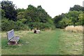 Bench by the footpath